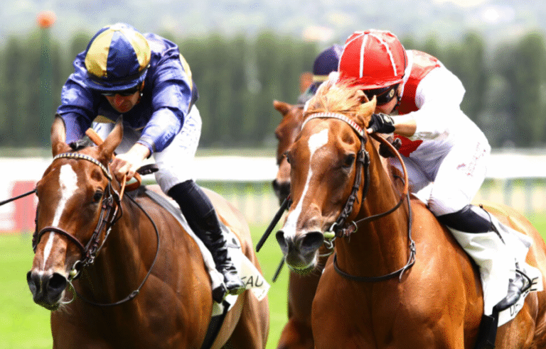 Horse Racing Industry Regulations: What Keeps the Sport Fair?