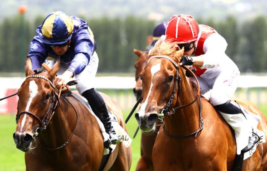Horse Racing Industry Regulations: What Keeps the Sport Fair?