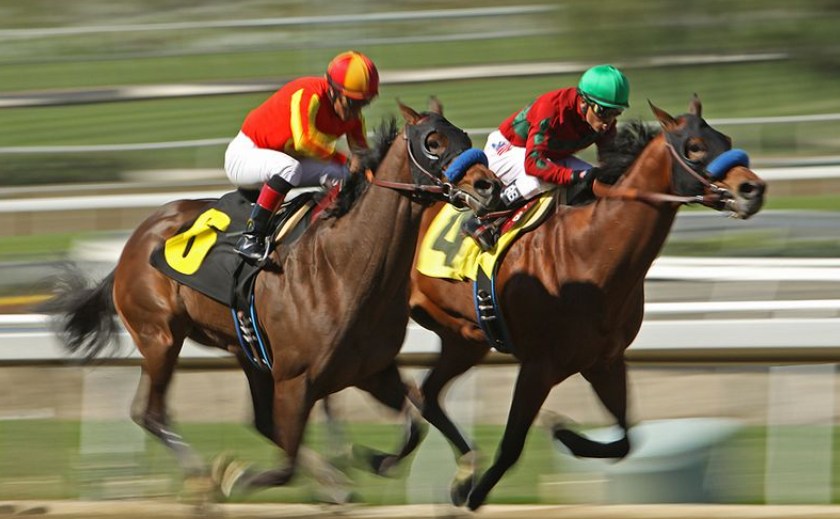 Horse Racing Legends: Famous Trainers and Their Horses