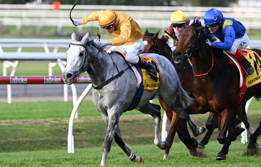 Horse Racing Myths Debunked: What’s True and What’s Not