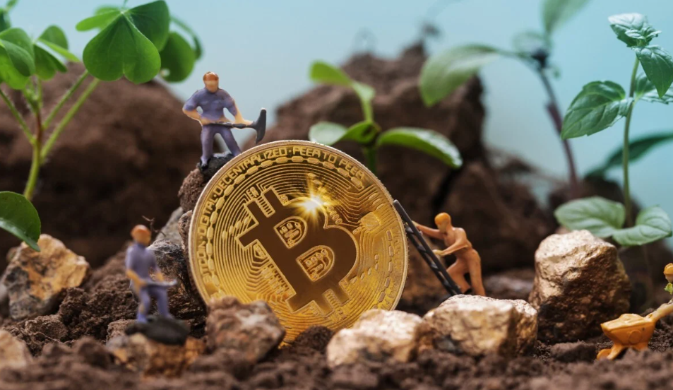The Environmental Impact of Bitcoin Mining